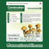 Grow kit Cambodian