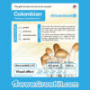 Grow Kit Colombian