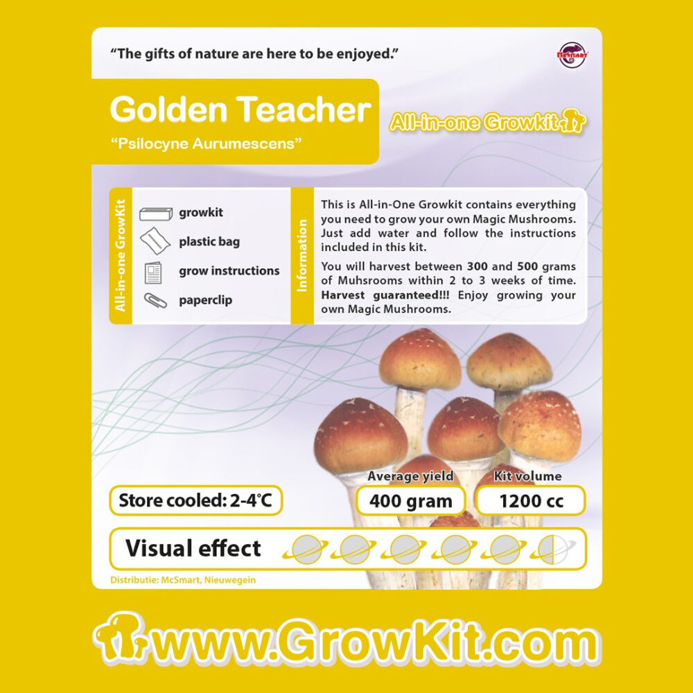 Grow Kit Golden Teacher 