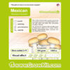 Grow Kit Mexican