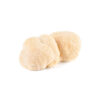 grzyb lions mane wygląd